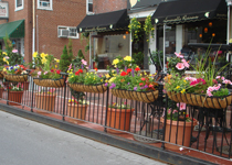 Lemoncello's Outdoor Dining Area